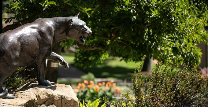 Pitt panther statue in a garden